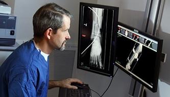 Dr. James Ficke looking at foot X-Rays before a surgery