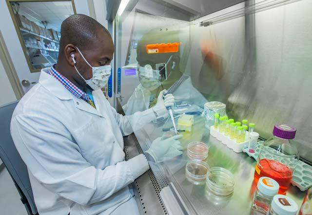 Image of a researcher using a pipette